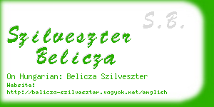 szilveszter belicza business card